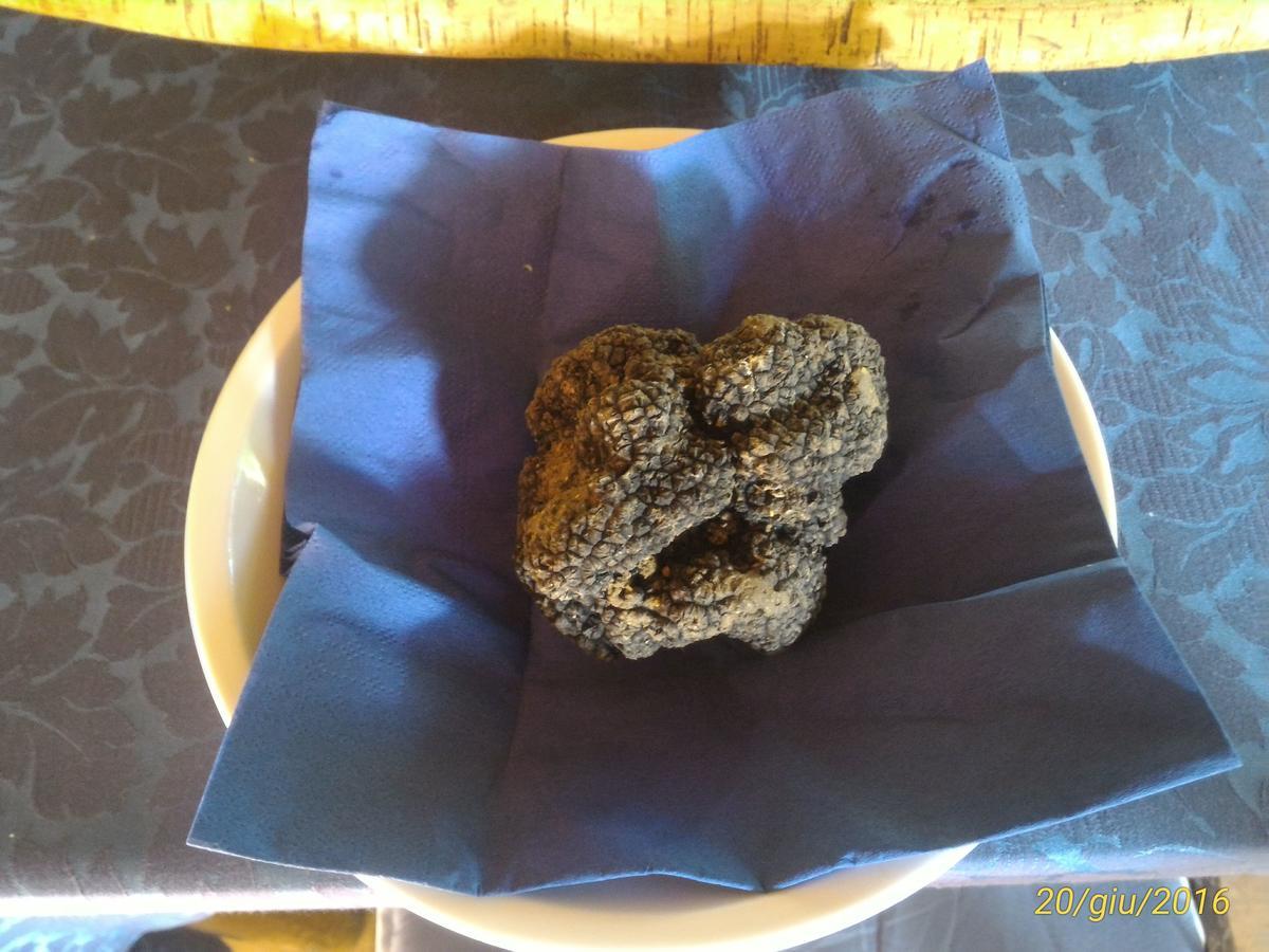 Da Elio Hotel Piegaro  ภายนอก รูปภาพ