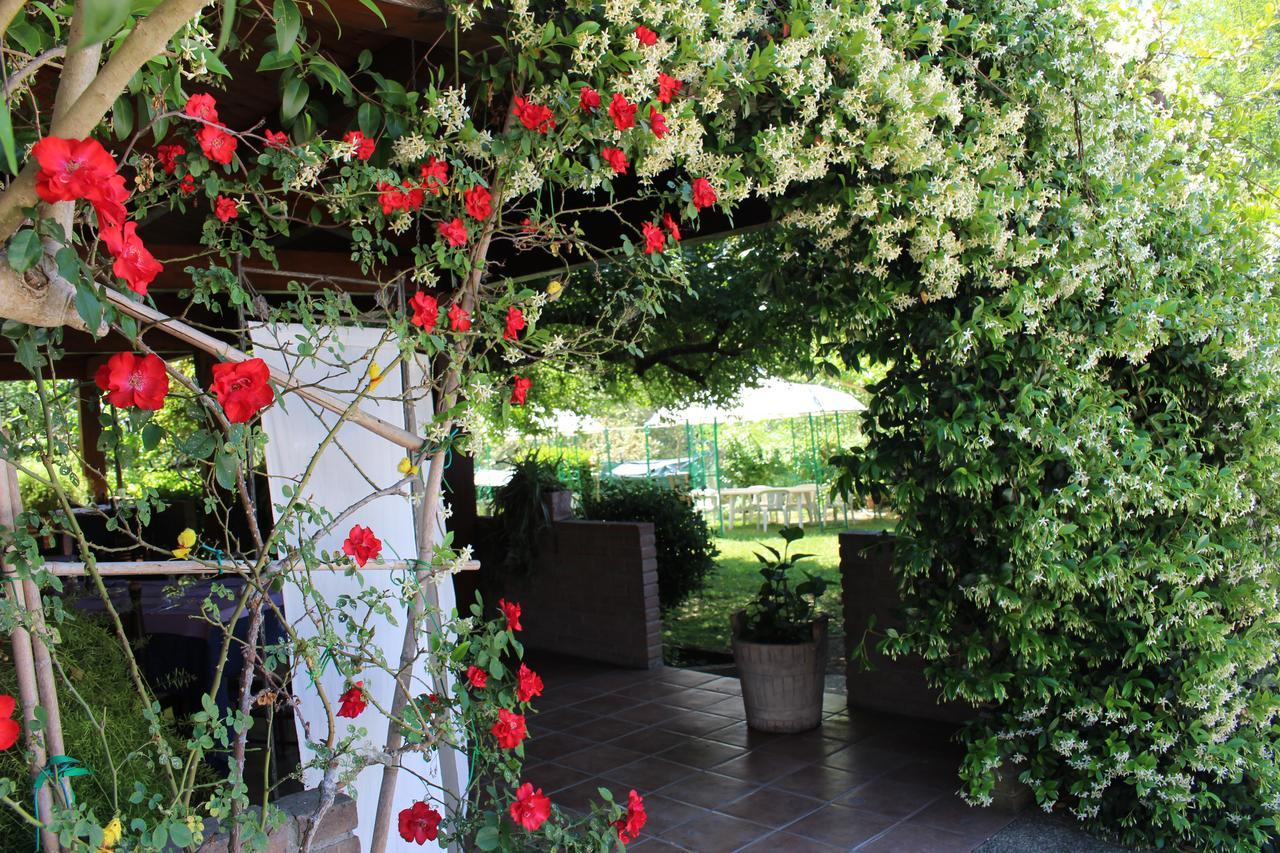Da Elio Hotel Piegaro  ภายนอก รูปภาพ